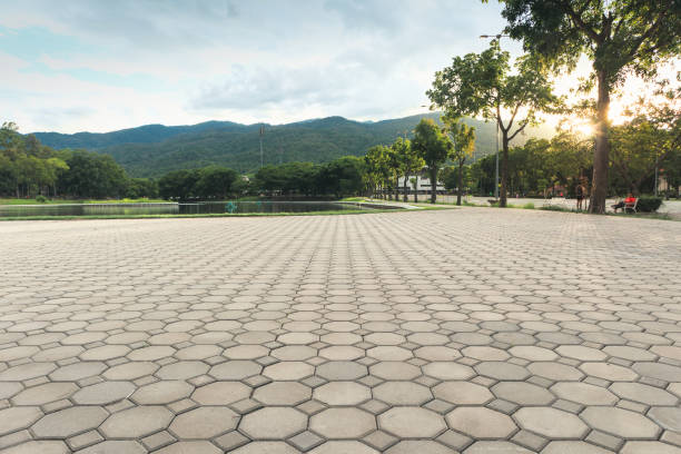 Best Local Driveway Pavers  in St Martins, MO
